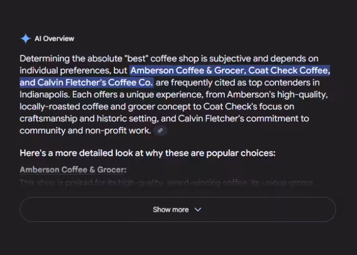 AI overview paragraph from Google search