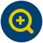 enlarge icon